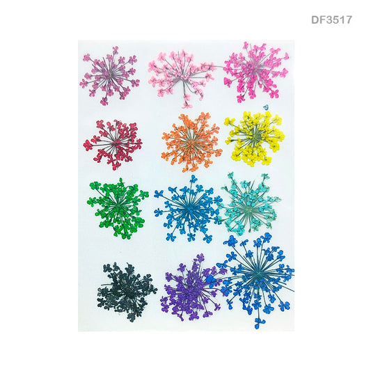 Gift To Love | Dry Flower Sheet | Pcs : 12 Sheets | Code : DF3517