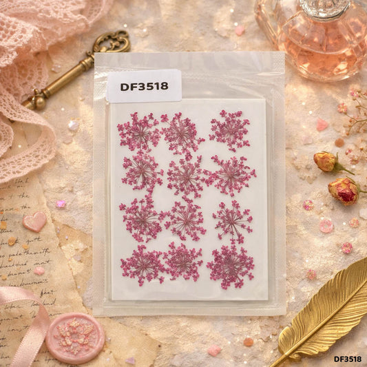 Gift To Love | Dry Flower Sheet | Pcs : 12 Sheets | Code : DF3518