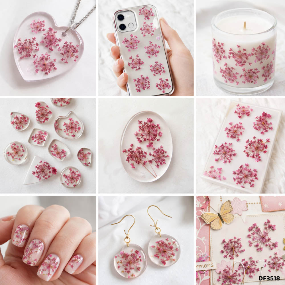 Gift To Love | Dry Flower Sheet | Pcs : 12 Sheets | Code : DF3518
