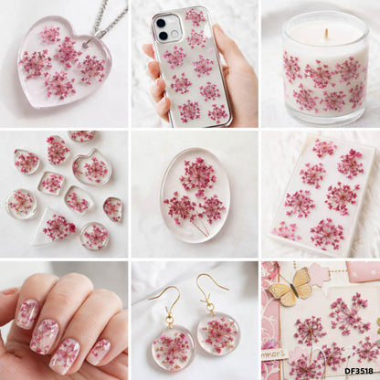 Gift To Love | Dry Flower Sheet | Pcs : 12 Sheets | Code : DF3518
