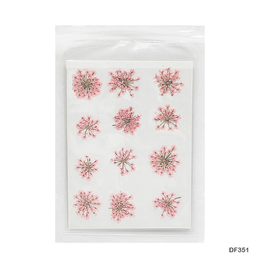 Gift To Love | Dry Flower Sheet | Pcs : 12 Pcs | Code : DF354