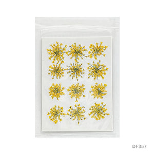 Gift To Love | Dry Flower Sheet | Pcs : 12 Pcs | Code : DF357