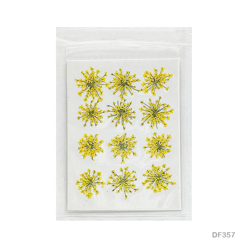 Gift To Love | Dry Flower Sheet | Pcs : 12 | Code : DF359