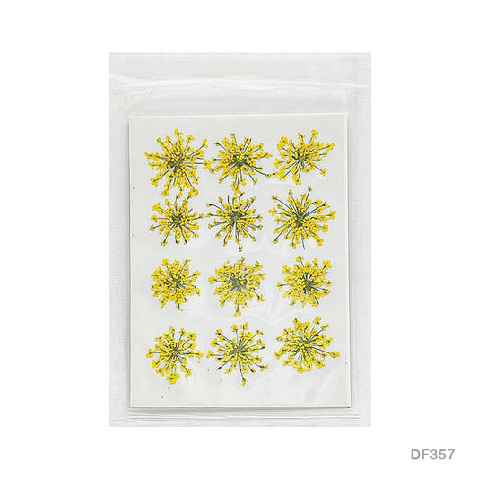 Gift To Love | Dry Flower Sheet | Pcs : 12 | Code : DF359