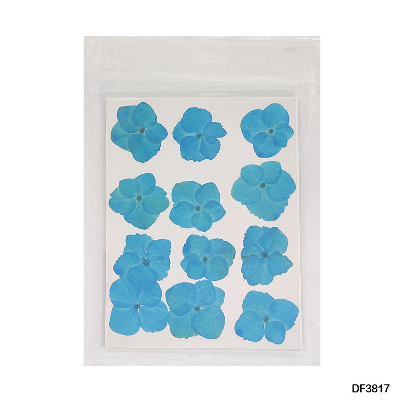 Gift To Love | Dry Flower Sheet | Pcs : 12 Sheets | Code : DF3817