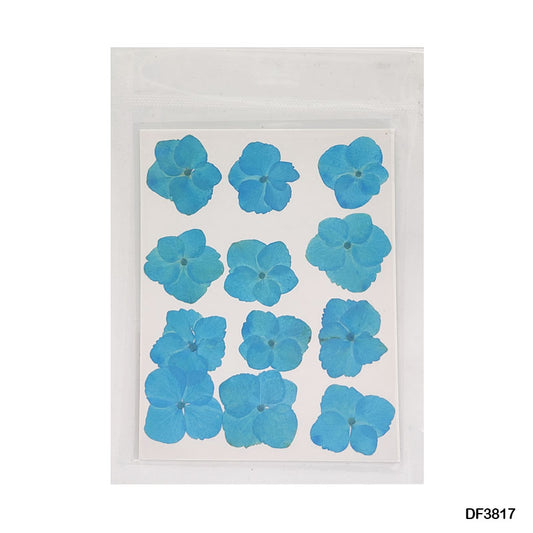 Gift To Love | Dry Flower Sheet | Pcs : 12 Sheets | Code : DF3817