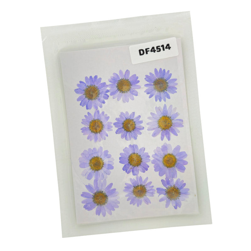 Gift To Love | Dry Flower Sheet | Pcs : 12 Flower Sheet | Code : DF4514