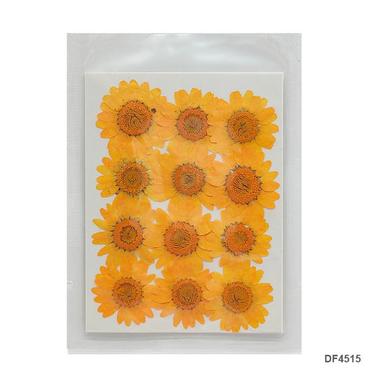 Gift To Love | Dry Flower Sheet | Pcs : 12 Sheets | Code : DF4515