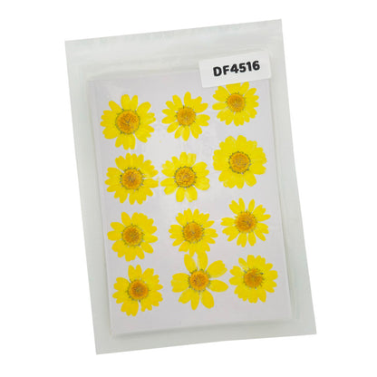 Gift To Love | Dry Flower Sheet | Pcs : 12 Pcs | Code : DF4516
