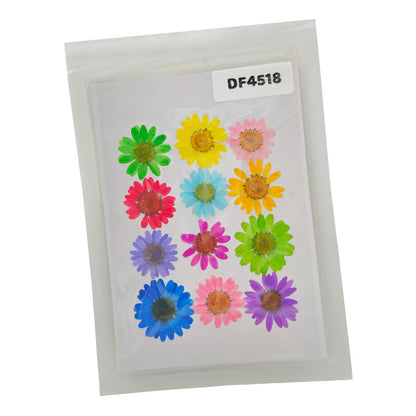 Gift To Love | Dry Flower Sheet | Pcs : 12 Pcs | Code : DF4518