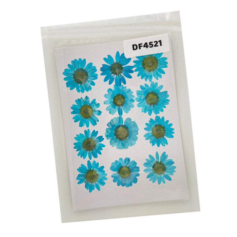 Gift To Love | Dry Flower Sheet | Pcs : 12 Flower Sheet | Code : DF4521