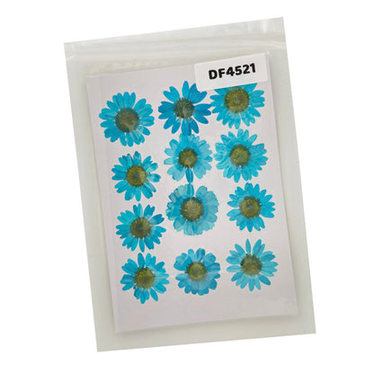 Gift To Love | Dry Flower Sheet | Pcs : 12 Flower Sheet | Code : DF4521