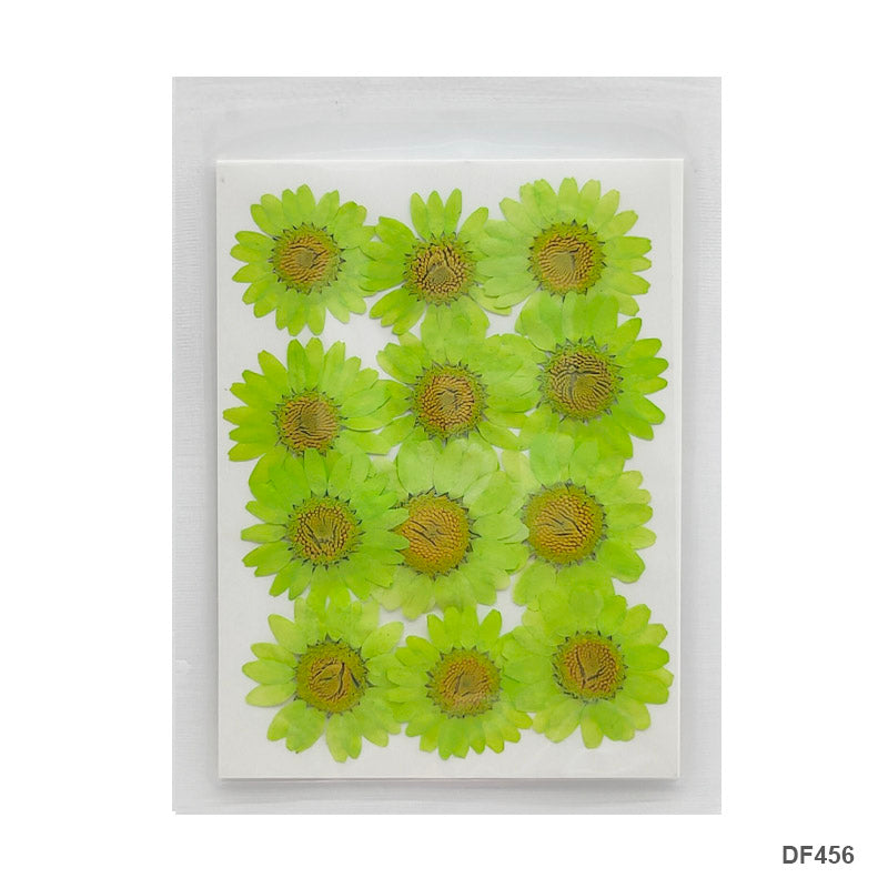 Gift To Love | Dry Flower Sheet | Pcs : 12 Flower | Code : DF456
