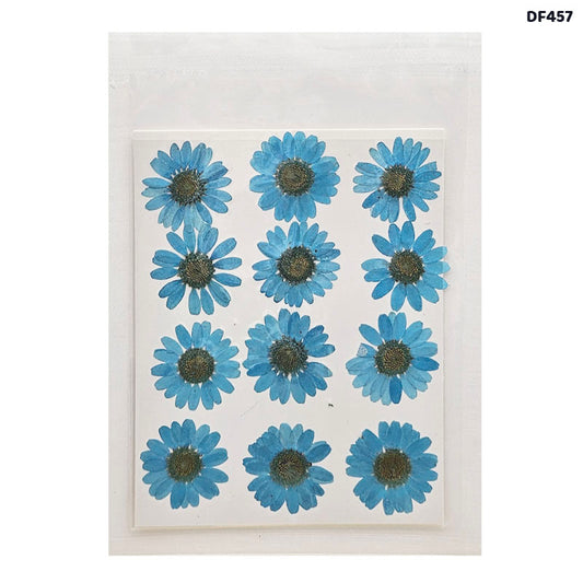 Gift To Love | Dry Flower Sheet | Pcs : 12 | Code : DF457