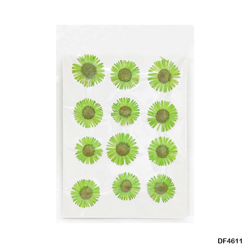 Gift To Love | Dry Flower Sheet | Pcs : 12 Flowers | Code : DF4611