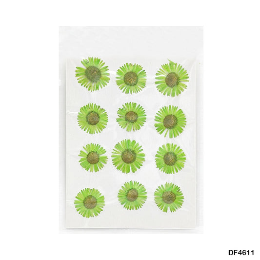 Gift To Love | Dry Flower Sheet | Pcs : 12 Flowers | Code : DF4611