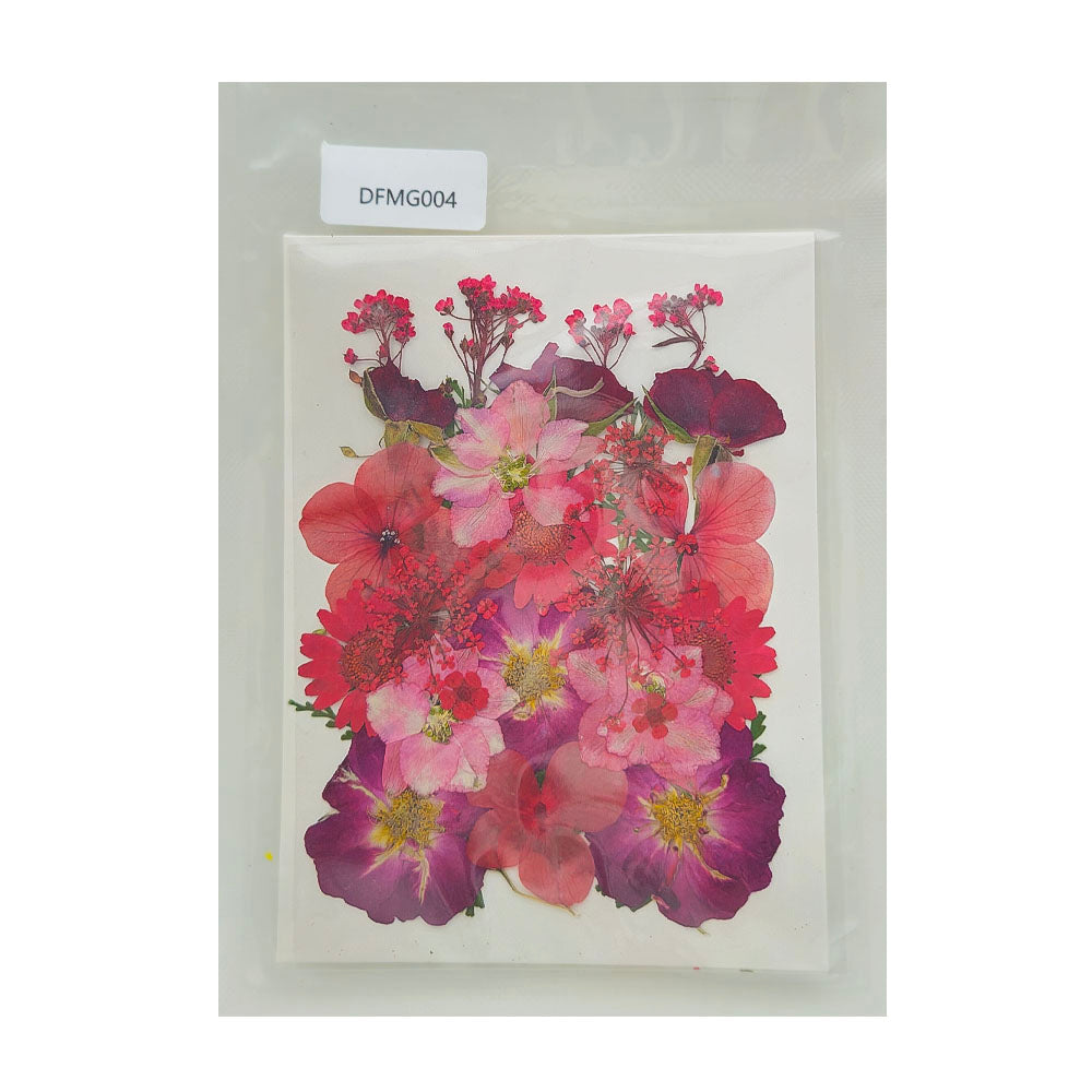 Gift To Love | Dry Flower Sheet | Code : DFMG004