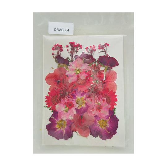 Gift To Love | Dry Flower Sheet | Code : DFMG004
