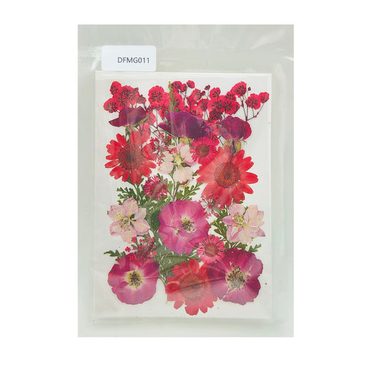 Gift To Love | Dry Flower Sheet | Code : DFMG011