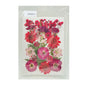 Gift To Love | Dry Flower Sheet | Code : DFMG011