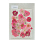 Gift To Love | Dry Flower Sheet | Code : DFMG012