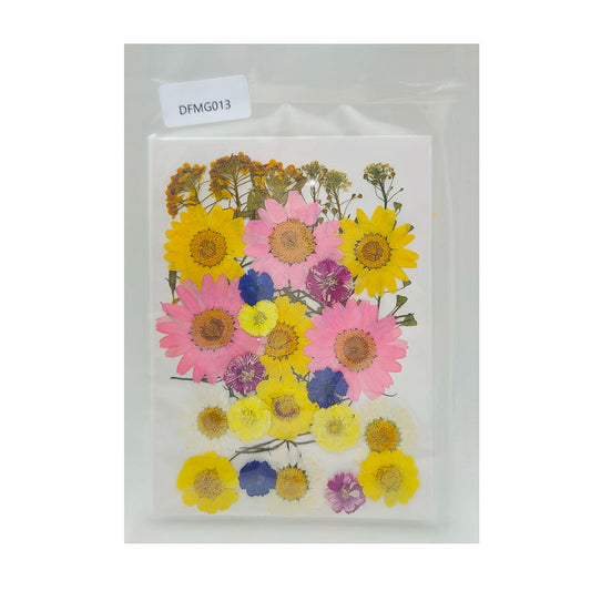 Gift To Love | Dry Flower Sheet | Code : DFMG013