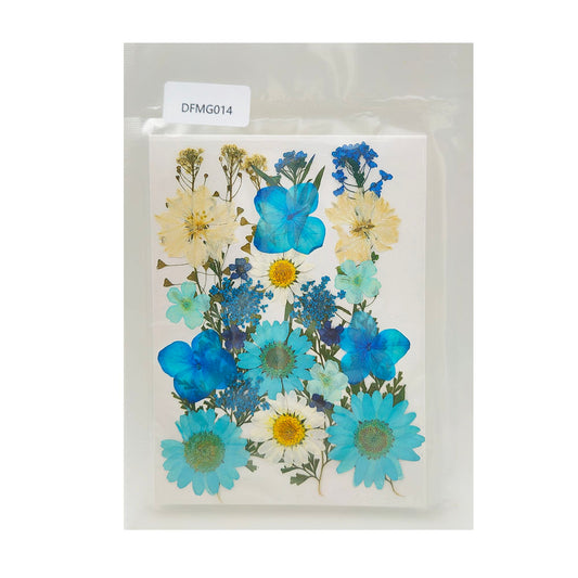 Gift To Love | Dry Flower Sheet | Code : DFMG014