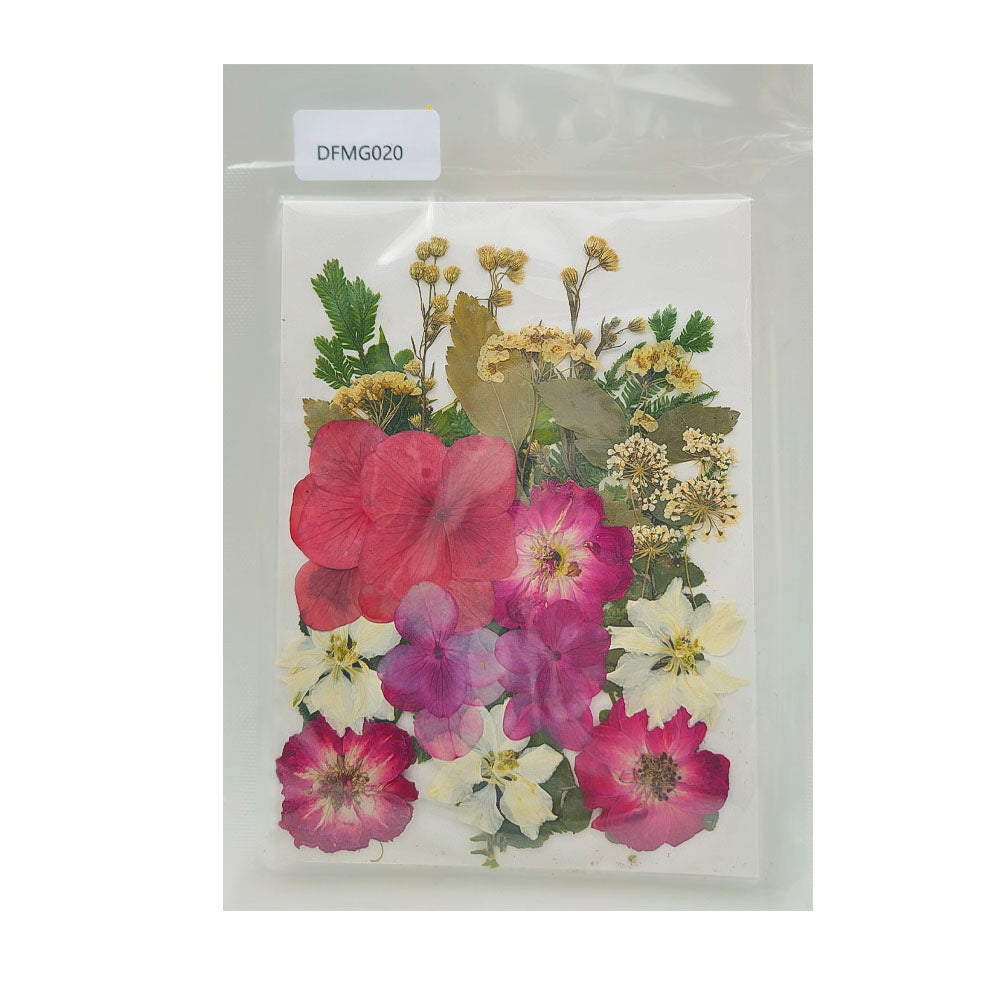 Gift To Love | Dry Flower Sheet | Code : DFMG020