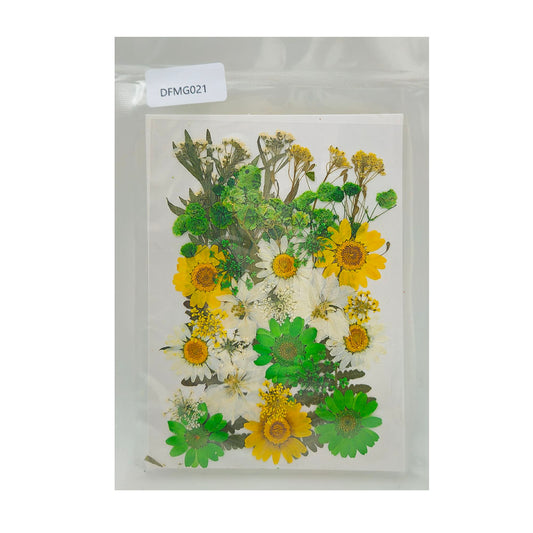 Gift To Love | Dry Flower Sheet | Code : DFMG021