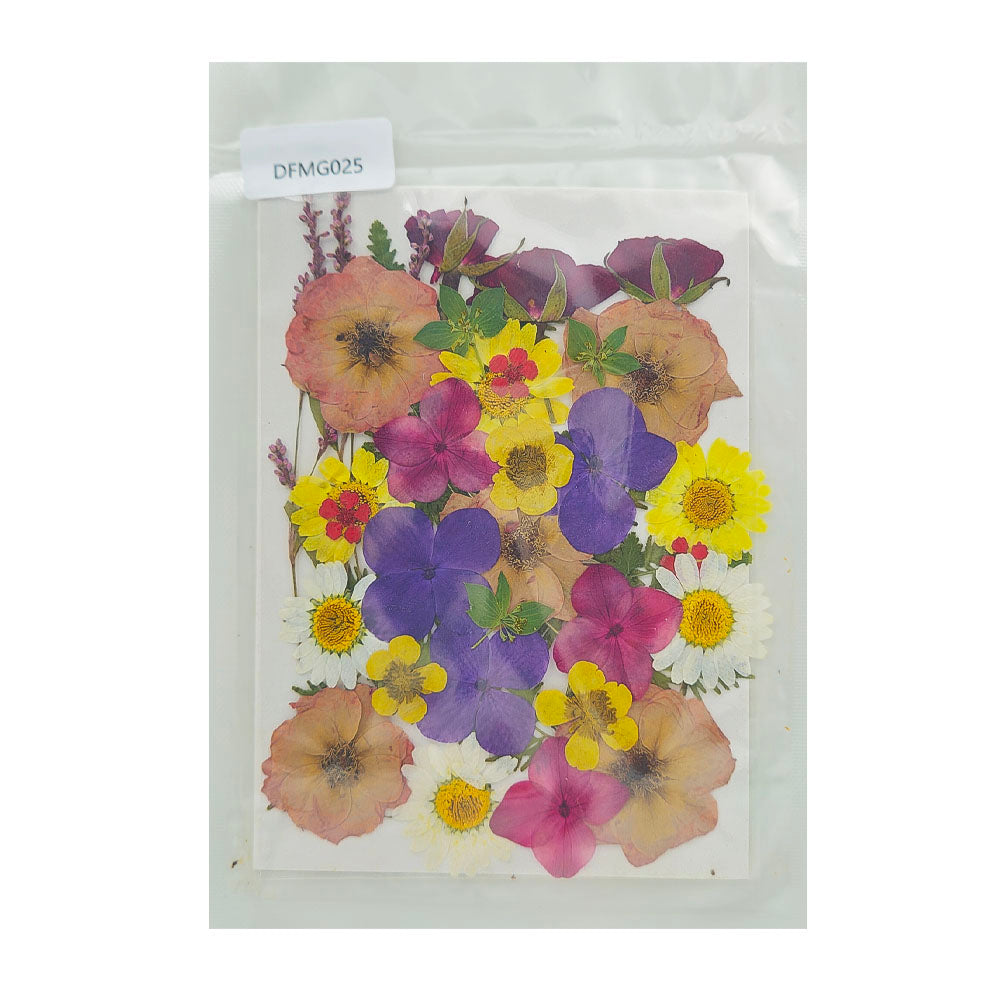 Gift To Love | Dry Flower Sheet | Code : DFMG025