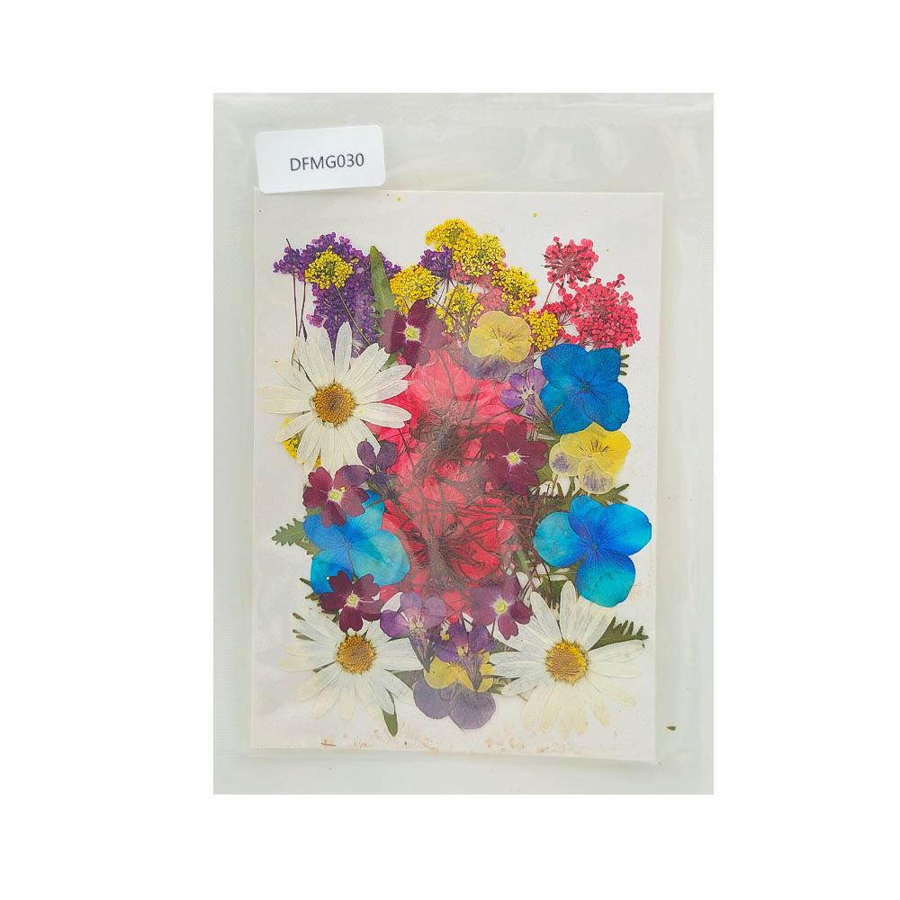 Gift To Love | Dry Flower Sheet | Code : DFMG030