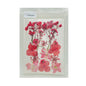 Gift To Love | Dry Flower Sheet | Code : DFMG045