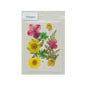 Gift To Love | Dry Flower Sheet | Code : DFMG053