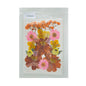 Gift To Love | Dry Flower Sheet | Code : DFMG057