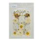 Gift To Love | Dry Flower Sheet | Code : DFMG061