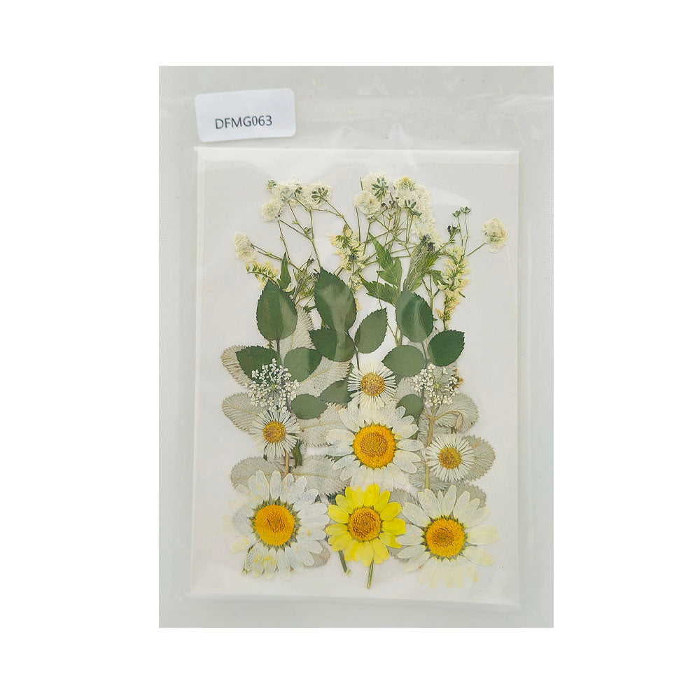 Gift To Love | Dry Flower Sheet | Code : DFMG063