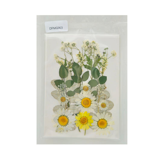 Gift To Love | Dry Flower Sheet | Code : DFMG063