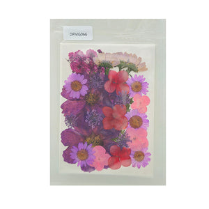 Gift To Love | Dry Flower Sheet | Code : DFMG066