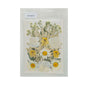 Gift To Love | Dry Flower Sheet | Code : DFMG070