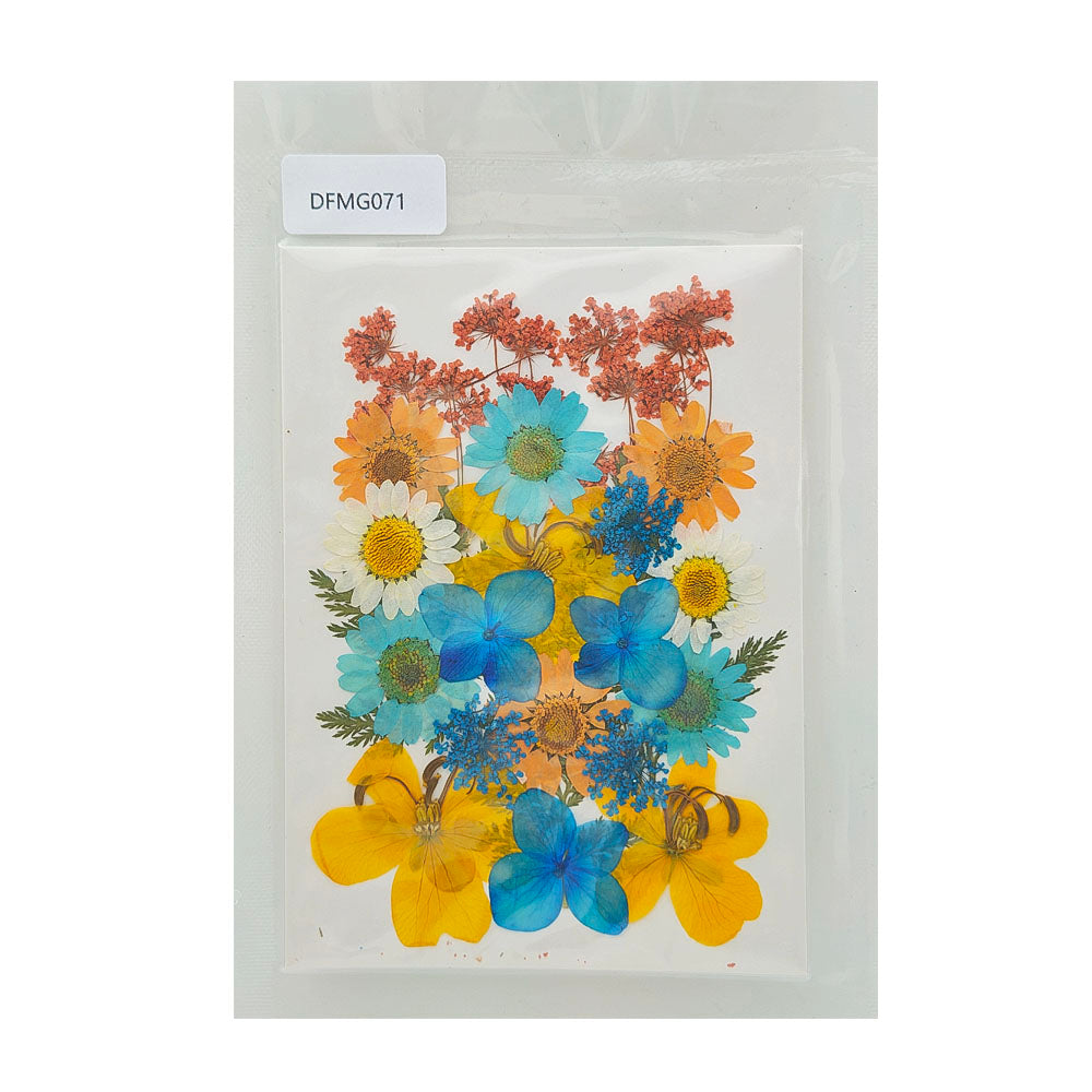 Gift To Love | Dry Flower Sheet | Code : DFMG071