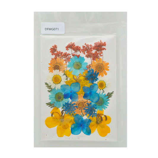 Gift To Love | Dry Flower Sheet | Code : DFMG071