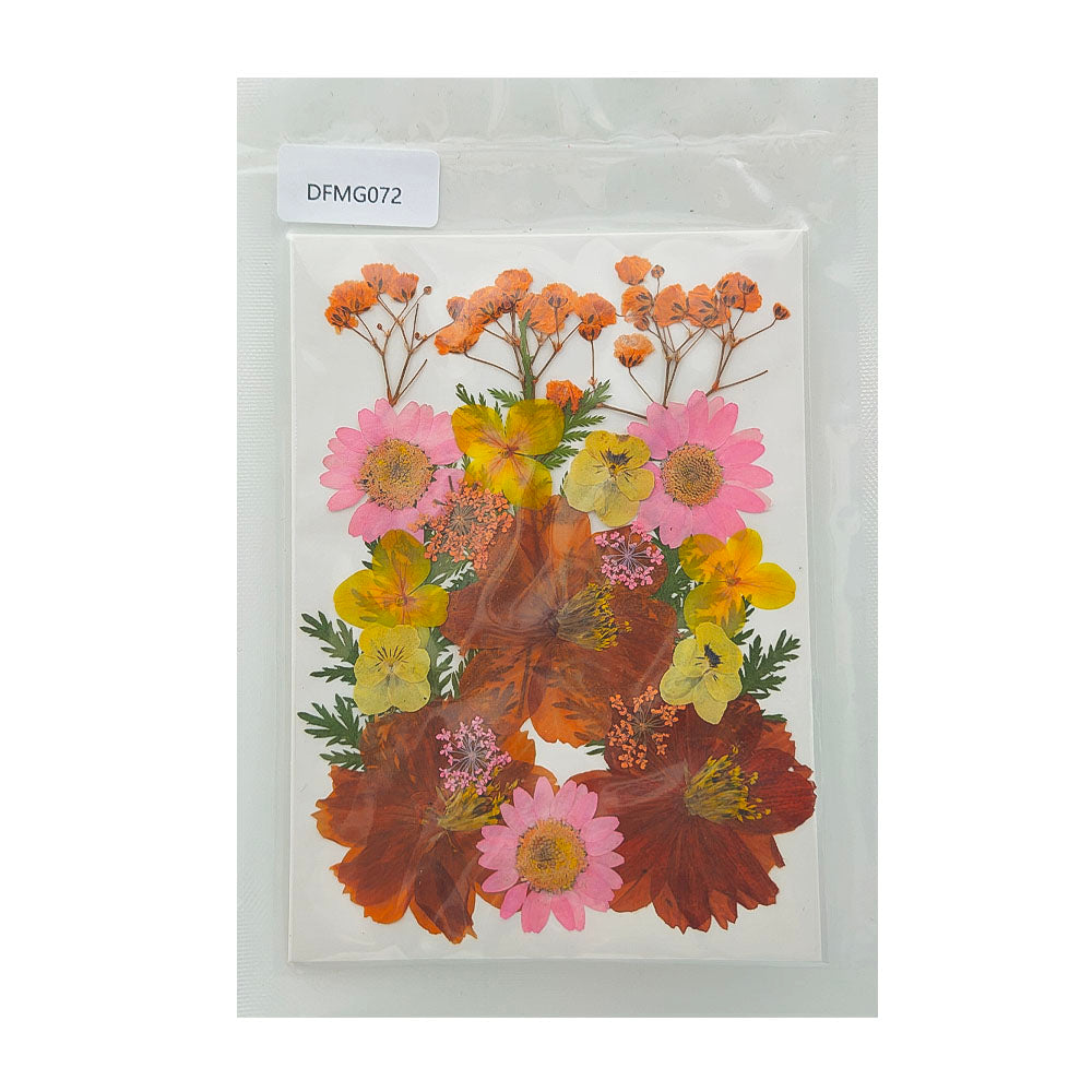 Gift To Love | Dry Flower Sheet | Code : DFMG072