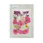 Gift To Love | Dry Flower Sheet | Code : DFMG075