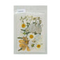 Gift To Love | Dry Flower Sheet | Code : DFMG084