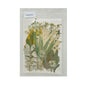 Gift To Love | Dry Flower Sheet | Code : DFMG093