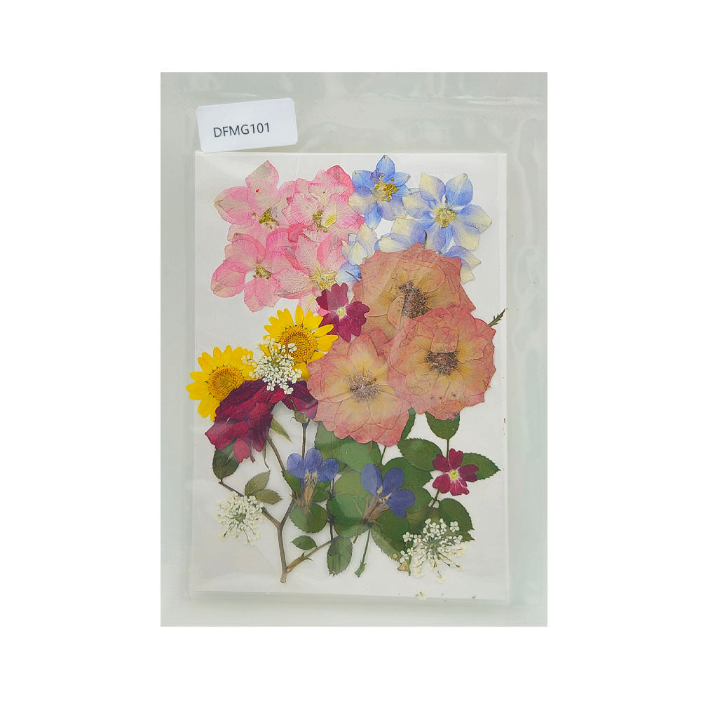 Gift To Love | Dry Flower Sheet | Code : DFMG101
