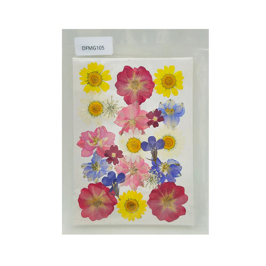 Gift To Love | Dry Flower Sheet | Code : DFMG105