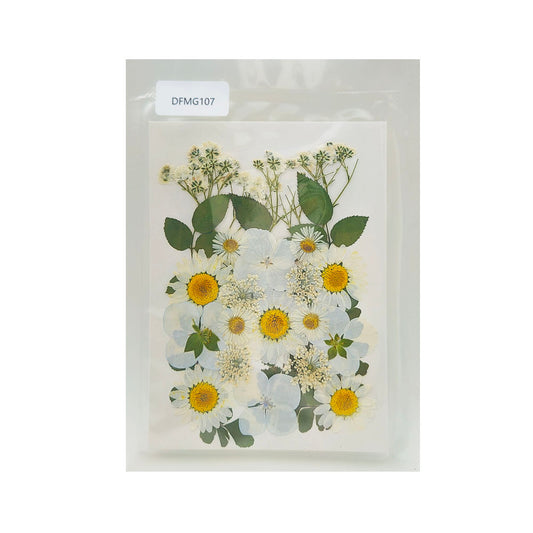 Gift To Love | Dry Flower Sheet | Code : DFMG107