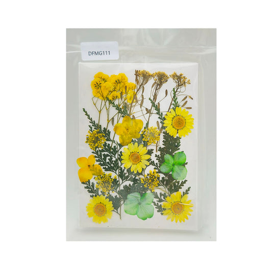 Gift To Love | Dry Flower Sheet | Code : DFMG111