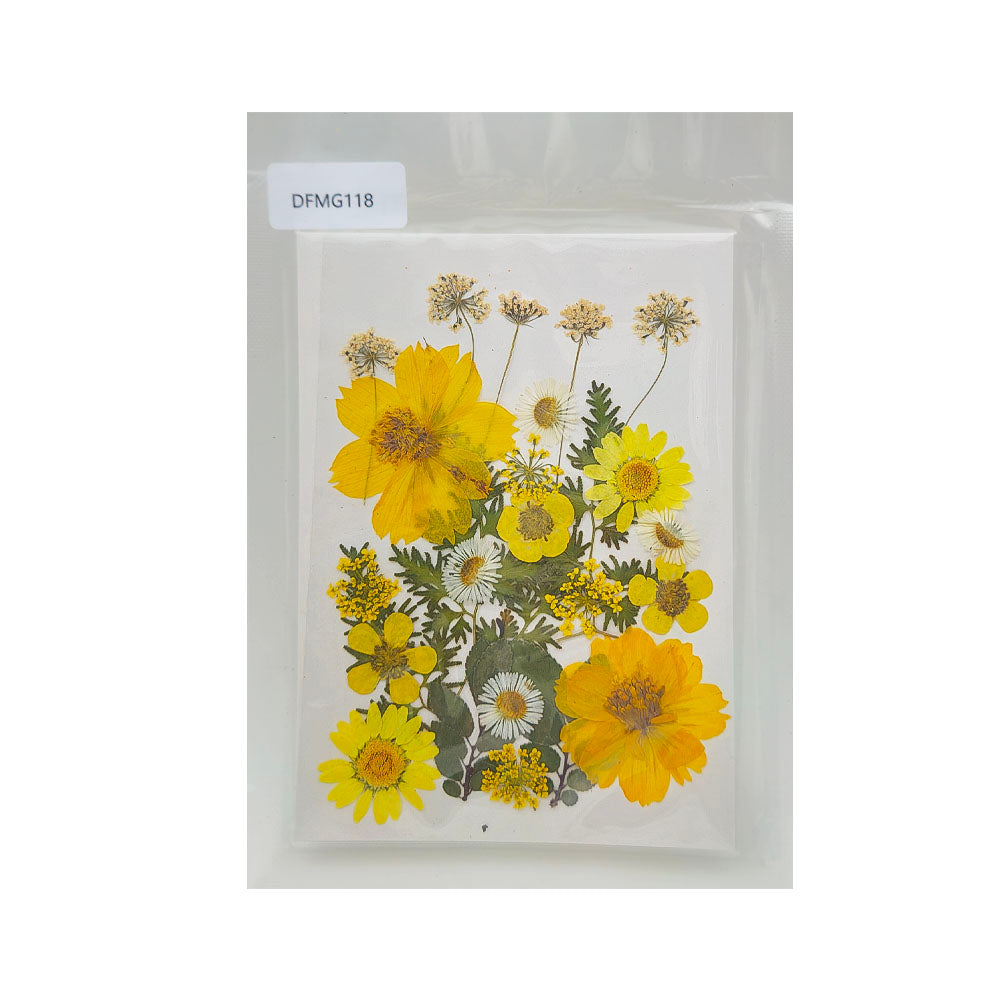 Gift To Love | Dry Flower Sheet | Code : DFMG118